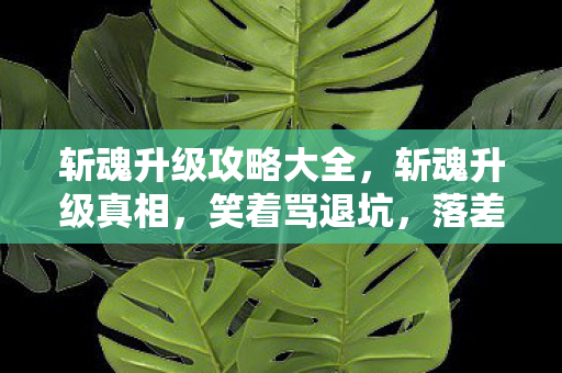 斩魂升级攻略大全，斩魂升级真相，笑着骂退坑，落差里笑着笑着就哭了！