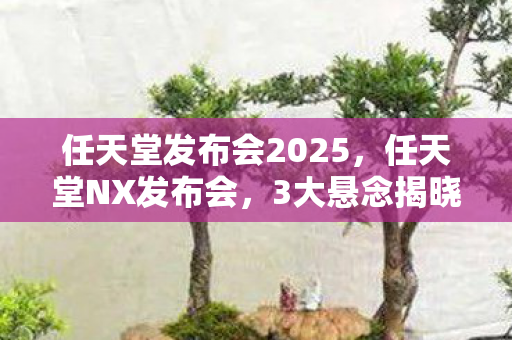 任天堂发布会2025,任天堂NX发布会,3大悬念揭晓,老玩家为何集体陷入沉默? 任天堂发布会2025,任天堂NX发布会,3大悬念揭晓,老玩家为何集体陷入沉默?