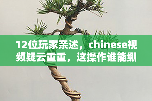 12位玩家亲述,chinese视频疑云重重,这操作谁能绷得住? 12位玩家亲述,chinese视频疑云重重,这操作谁能绷得住?