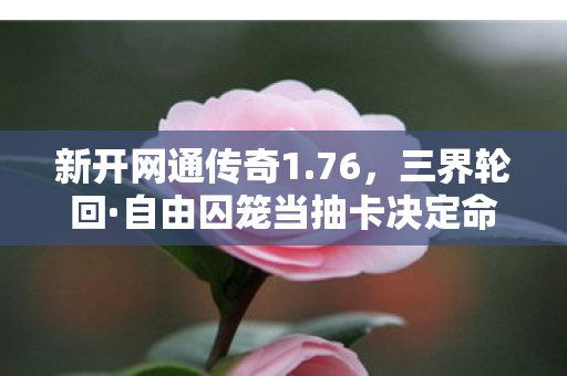 新开网通传奇1.76,三界轮回·自由囚笼当抽卡决定命运时,你究竟在操控谁的人生? 新开网通传奇1.76,三界轮回·自由囚笼当抽卡决定命运时,你究竟在操控谁的人生?