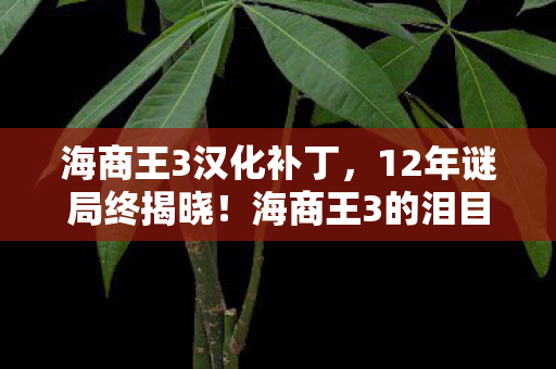 海商王3汉化补丁,12年谜局终揭晓!海商王3的泪目航海史诗 海商王3汉化补丁,12年谜局终揭晓!海商王3的泪目航海史诗
