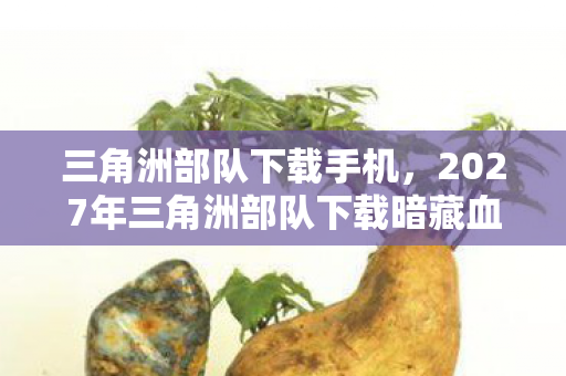 三角洲部队下载手机,2027年三角洲部队下载暗藏血色密码,七具尸体未报案,你的选择才是真凶? 三角洲部队下载手机,2027年三角洲部队下载暗藏血色密码,七具尸体未报案,你的选择才是真凶?