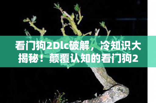 看门狗2Dlc破解,冷知识大揭秘!颠覆认知的看门狗2隐藏设定,让你目瞪口呆! 看门狗2Dlc破解,冷知识大揭秘!颠覆认知的看门狗2隐藏设定,让你目瞪口呆!