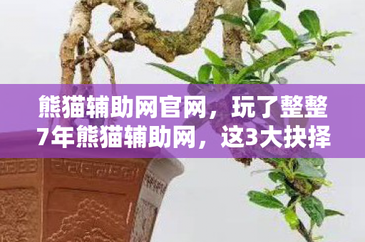 熊猫辅助网官网,玩了整整7年熊猫辅助网,这3大抉择让我夜不能寐!选对还是选错? 熊猫辅助网官网,玩了整整7年熊猫辅助网,这3大抉择让我夜不能寐!选对还是选错?