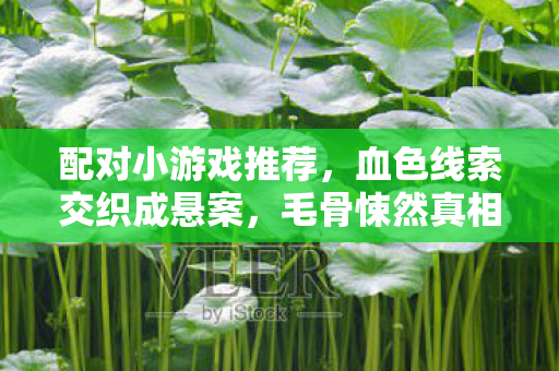 配对小游戏推荐,血色线索交织成悬案,毛骨悚然真相待揭晓 配对小游戏推荐,血色线索交织成悬案,毛骨悚然真相待揭晓