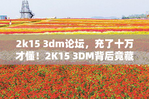 2k15 3dm论坛,充了十万才懂!2K15 3DM背后竟藏着这等吸血隐情,吓我一跳! 2k15 3dm论坛,充了十万才懂!2K15 3DM背后竟藏着这等吸血隐情,吓我一跳!