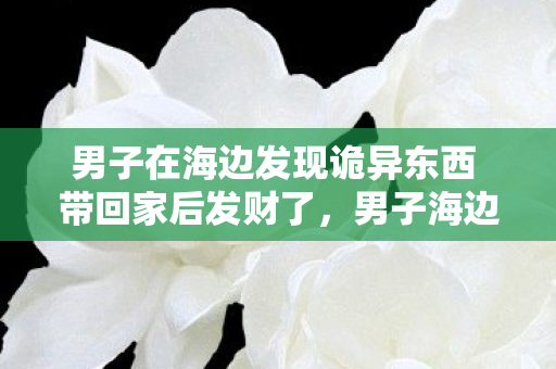 男子在海边发现诡异东西 带回家后发财了,男子海边捡到神秘黑匣,竟含500万隐情!专家看后都吓一跳! 男子在海边发现诡异东西 带回家后发财了,男子海边捡到神秘黑匣,竟含500万隐情!专家看后都吓一跳!