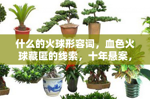 什么的火球形容词,血色火球藏匿的线索,十年悬案,毛骨悚然真相待揭 什么的火球形容词,血色火球藏匿的线索,十年悬案,毛骨悚然真相待揭