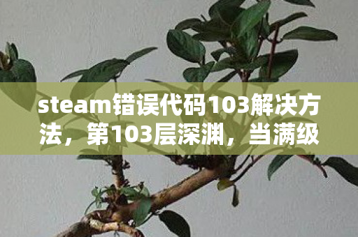 steam错误代码103解决方法,第103层深渊,当满级账号成为现实世界的错误代码 steam错误代码103解决方法,第103层深渊,当满级账号成为现实世界的错误代码