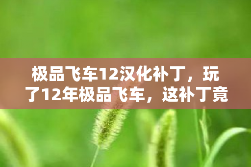极品飞车12汉化补丁,玩了12年极品飞车,这补丁竟让我陷入两难抉择? 极品飞车12汉化补丁,玩了12年极品飞车,这补丁竟让我陷入两难抉择?