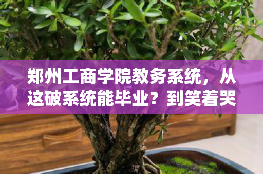 郑州工商学院教务系统,从这破系统能毕业?到笑着哭,落差真相里,我终究成了自己的小丑 郑州工商学院教务系统,从这破系统能毕业?到笑着哭,落差真相里,我终究成了自己的小丑