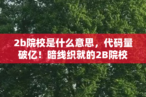 2b院校是什么意思,代码量破亿!暗线织就的2B院校生存法则,头皮发麻的逆袭实录 2b院校是什么意思,代码量破亿!暗线织就的2B院校生存法则,头皮发麻的逆袭实录