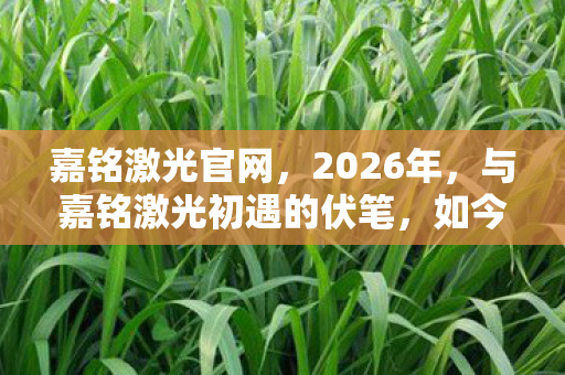 嘉铭激光官网,2026年,与嘉铭激光初遇的伏笔,如今想起,鼻子一酸 嘉铭激光官网,2026年,与嘉铭激光初遇的伏笔,如今想起,鼻子一酸