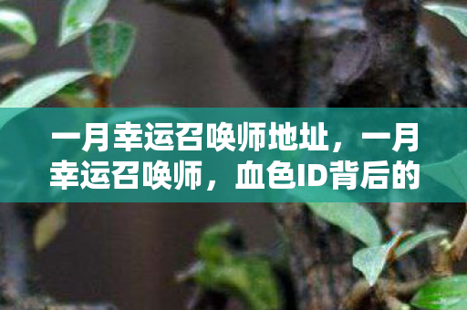 一月幸运召唤师地址，一月幸运召唤师，血色ID背后的悬案，毛骨悚然真相待揭