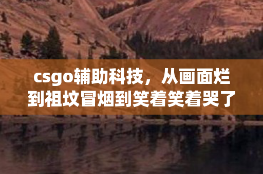 csgo辅助科技，从画面烂到祖坟冒烟到笑着笑着哭了，CSGO辅助真相的残酷落差