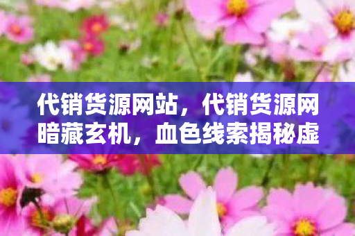 代销货源网站,代销货源网暗藏玄机,血色线索揭秘虚拟悬案,毛骨悚然真相 代销货源网站,代销货源网暗藏玄机,血色线索揭秘虚拟悬案,毛骨悚然真相
