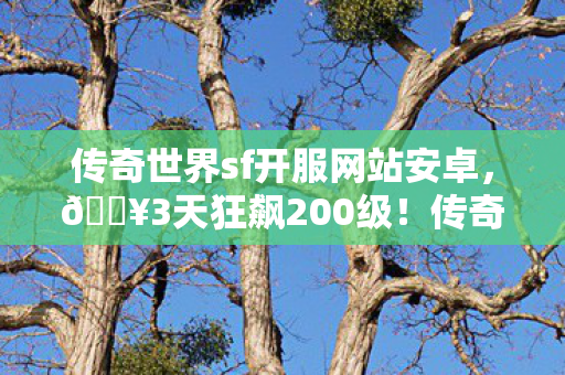传奇世界sf开服网站安卓,🔥3天狂飙200级!传奇私服新服体验,这才是真正的热血江湖! 传奇世界sf开服网站安卓,🔥3天狂飙200级!传奇私服新服体验,这才是真正的热血江湖!