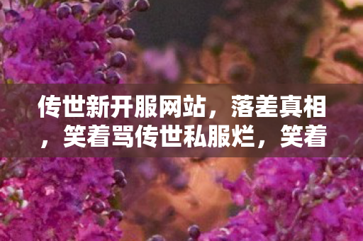 传世新开服网站，落差真相，笑着骂传世私服烂，笑着笑着，眼泪却砸在登录界面