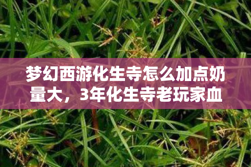 梦幻西游化生寺怎么加点奶量大，3年化生寺老玩家血泪总结，这5种加点法99%人踩坑，最后1种让帮战秒变修罗场！