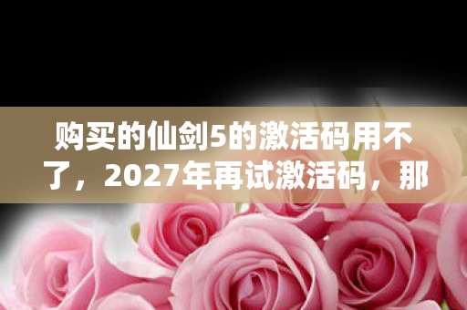 购买的仙剑5的激活码用不了，2027年再试激活码，那句别走竟成鼻子一酸的伏笔