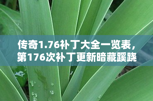 传奇1.76补丁大全一览表，第176次补丁更新暗藏蹊跷，老玩家后背发凉，原来我才是小丑