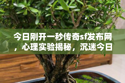 今日刚开一秒传奇sf发布网，心理实验揭秘，沉迷今日刚开一秒传奇sf，细思极恐的自我囚禁