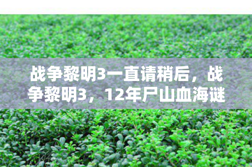 战争黎明3一直请稍后,战争黎明3,12年尸山血海谜局终解,玩家泪目,这竟是最后的黎明 战争黎明3一直请稍后,战争黎明3,12年尸山血海谜局终解,玩家泪目,这竟是最后的黎明