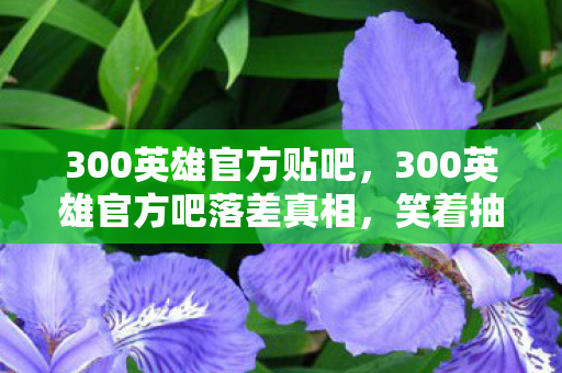 300英雄官方贴吧，300英雄官方吧落差真相，笑着抽自己嘴巴，笑着笑着却哭了