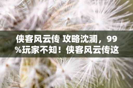 侠客风云传 攻略沈澜,99%玩家不知!侠客风云传这3个隐藏设定,竟藏着惊天秘密? 侠客风云传 攻略沈澜,99%玩家不知!侠客风云传这3个隐藏设定,竟藏着惊天秘密?