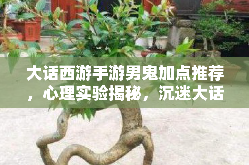 大话西游手游男鬼加点推荐,心理实验揭秘,沉迷大话西游手游男鬼加点,细思极恐的自我麻醉 大话西游手游男鬼加点推荐,心理实验揭秘,沉迷大话西游手游男鬼加点,细思极恐的自我麻醉