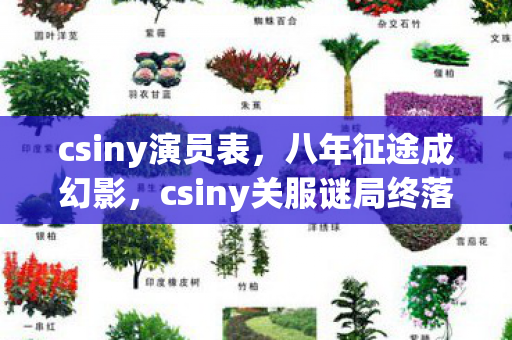 csiny演员表,八年征途成幻影,csiny关服谜局终落幕,泪目收场 csiny演员表,八年征途成幻影,csiny关服谜局终落幕,泪目收场