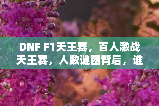 DNF F1天王赛,百人激战天王赛,人数谜团背后,谁才是真正破防之王? DNF F1天王赛,百人激战天王赛,人数谜团背后,谁才是真正破防之王?