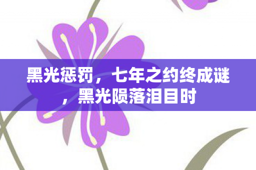 黑光惩罚,七年之约终成谜,黑光陨落泪目时 黑光惩罚,七年之约终成谜,黑光陨落泪目时