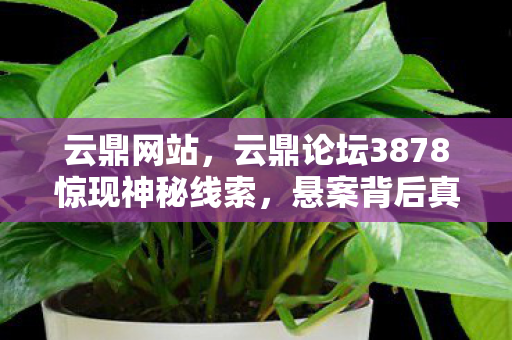 云鼎网站，云鼎论坛3878惊现神秘线索，悬案背后真相毛骨悚然！