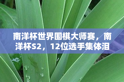 南洋杯世界围棋大师赛,南洋杯S2,12位选手集体泪崩,疑点重重,这波操作我绷不住了! 南洋杯世界围棋大师赛,南洋杯S2,12位选手集体泪崩,疑点重重,这波操作我绷不住了!