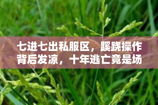 七进七出私服区,蹊跷操作背后发凉,十年逃亡竟是场荒诞剧 七进七出私服区,蹊跷操作背后发凉,十年逃亡竟是场荒诞剧