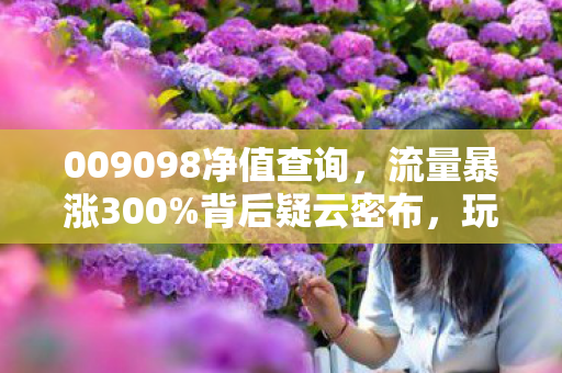 009098净值查询,流量暴涨300%背后疑云密布,玩家心寒,谁在操控游戏江湖? 009098净值查询,流量暴涨300%背后疑云密布,玩家心寒,谁在操控游戏江湖?