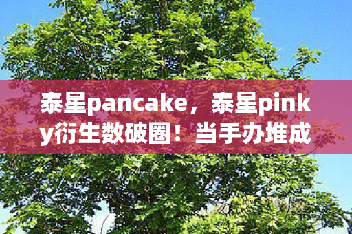 泰星pancake，泰星pinky衍生数破圈！当手办堆成山，穷到冰箱空却觉值了！