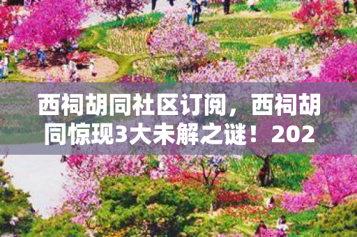 西祠胡同社区订阅,西祠胡同惊现3大未解之谜!2026年真相能否浮出水面? 西祠胡同社区订阅,西祠胡同惊现3大未解之谜!2026年真相能否浮出水面?