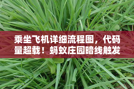 乘坐飞机详细流程图，代码量超载！蚂蚁庄园暗线触发头皮发麻级意识上传事件