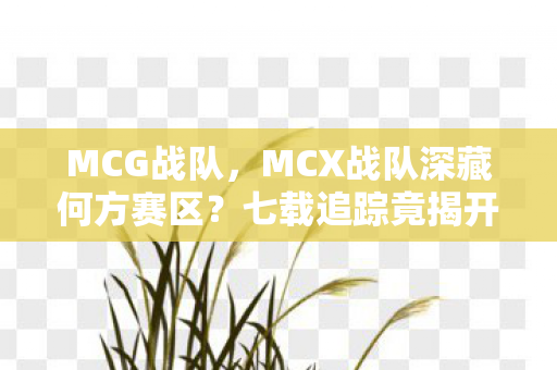 MCG战队，MCX战队深藏何方赛区？七载追踪竟揭开电竞圈惊天秘密！