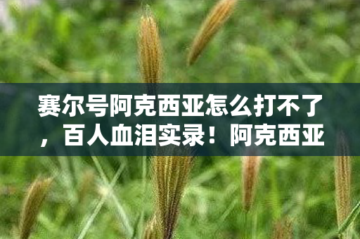 赛尔号阿克西亚怎么打不了,百人血泪实录!阿克西亚到底怎么打?网吧大神萌新集体绷不住! 赛尔号阿克西亚怎么打不了,百人血泪实录!阿克西亚到底怎么打?网吧大神萌新集体绷不住!