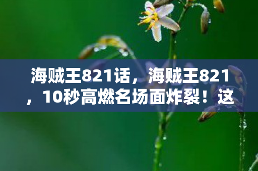 海贼王821话,海贼王821,10秒高燃名场面炸裂!这隐藏细节竟让20年老粉集体破防? 海贼王821话,海贼王821,10秒高燃名场面炸裂!这隐藏细节竟让20年老粉集体破防?