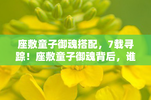 座敷童子御魂搭配,7载寻踪!座敷童子御魂背后,谁在为这虚拟羁绊暗自神伤? 座敷童子御魂搭配,7载寻踪!座敷童子御魂背后,谁在为这虚拟羁绊暗自神伤?