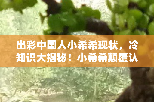 出彩中国人小希希现状，冷知识大揭秘！小希希颠覆认知，游戏设计竟藏目瞪口呆的炸弹