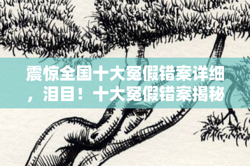 震惊全国十大冤假错案详细,泪目!十大冤假错案揭秘,正义迟到竟让人如此心碎! 震惊全国十大冤假错案详细,泪目!十大冤假错案揭秘,正义迟到竟让人如此心碎!