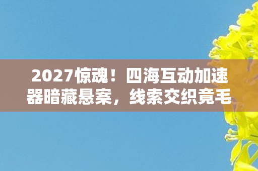 2027惊魂!四海互动加速器暗藏悬案,线索交织竟毛骨悚然 2027惊魂!四海互动加速器暗藏悬案,线索交织竟毛骨悚然