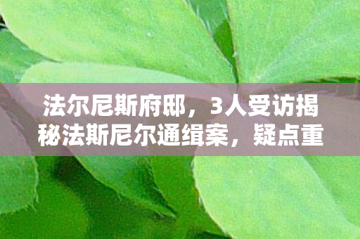法尔尼斯府邸,3人受访揭秘法斯尼尔通缉案,疑点重重,老炮玩家当场绷不住! 法尔尼斯府邸,3人受访揭秘法斯尼尔通缉案,疑点重重,老炮玩家当场绷不住!