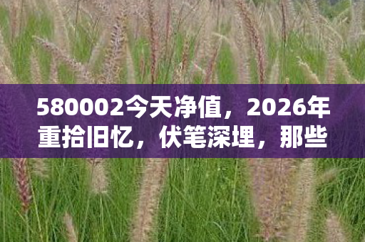 580002今天净值，2026年重拾旧忆，伏笔深埋，那些年游戏里的情，鼻子一酸泪满襟