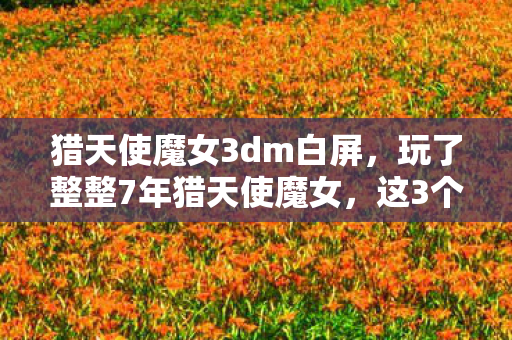 猎天使魔女3dm白屏,玩了整整7年猎天使魔女,这3个版本我该选谁?老玩家纠结症犯了! 猎天使魔女3dm白屏,玩了整整7年猎天使魔女,这3个版本我该选谁?老玩家纠结症犯了!